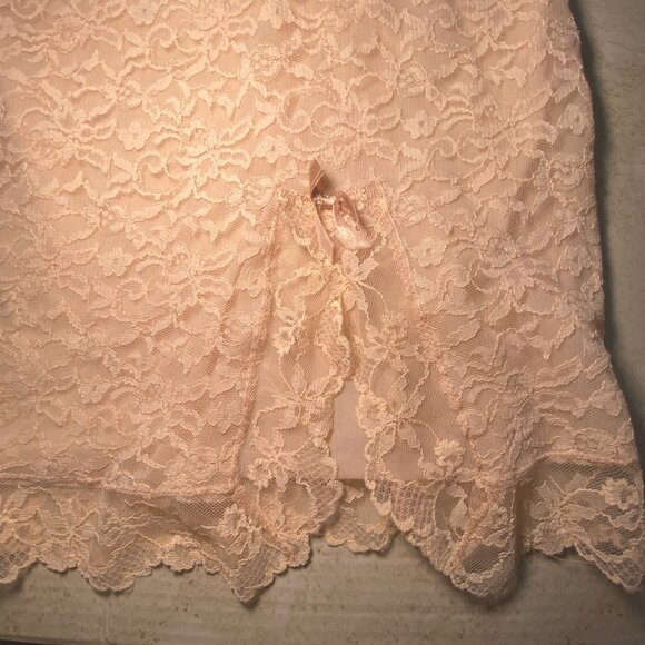 Blush Peach Floral Lace Lined Slip Delicate Feminine Coquette Lingerie - Picture 6 of 8